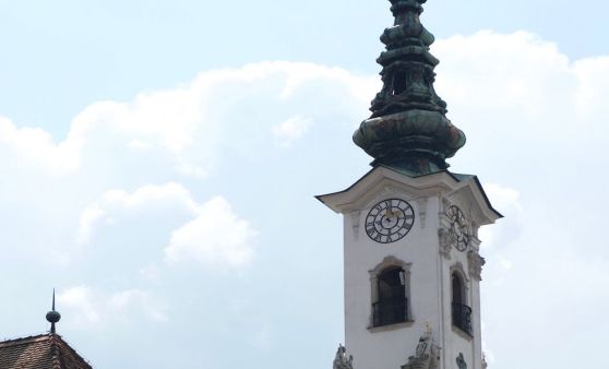 100 Jahre Lions Club-Fest