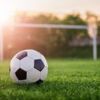 1. Landesliga - Runde 30 (Vorschau)