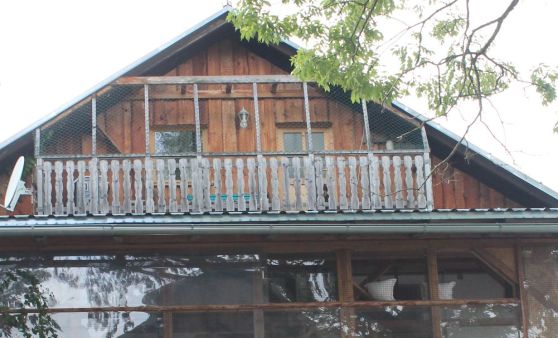 Tag der offenen Tür im Tierparadies Schabenreith in Steinbach am Ziehberg