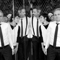 die zebras online - Improshow mit Live-Musik