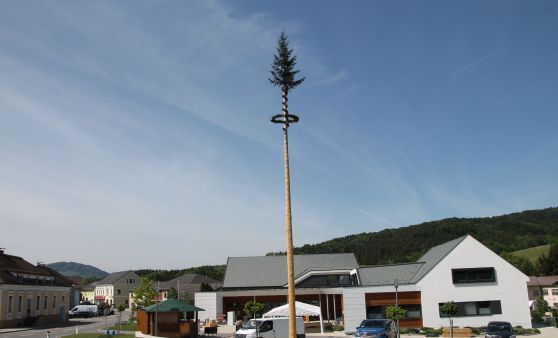 Die Maibäume aus dem Bezirk Melk