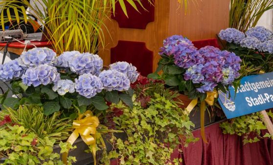 2023 Stadterhebung Stadl Paura