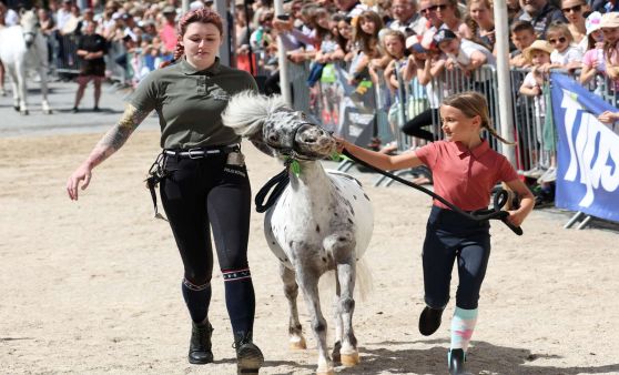 117. Vöcklabrucker Pferdemarkt 2024