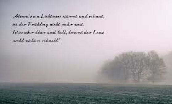 2020.02.02 Pfarrkaffee mit "Lichtmessbratlbrot" und Mehlspeisen