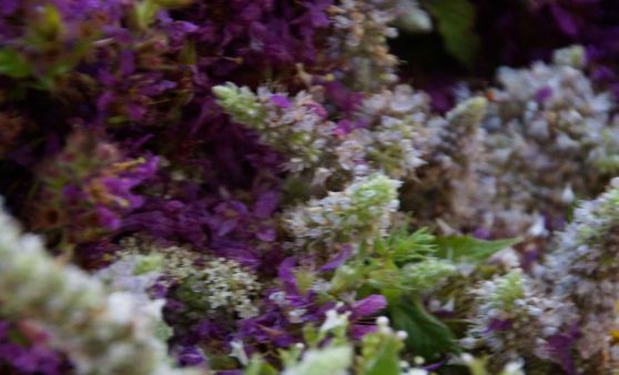 14.08.2021 Steyrer Goldhaubenfrauen beim Binden der Kräuterbüscherl