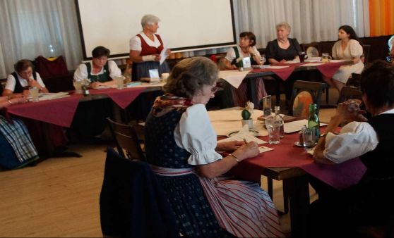 2022.06.02 Monats-Stammtisch: Vortrag Ing. Wolfgang Hack "Virtueller Spaziergang durch die Stadt Steyr"