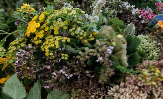 2023.08.14 Binden der Kräuterbüscherl für die Kräuterweihe zu Maria Himmelfahrt