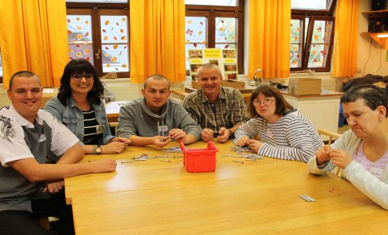 Schule und Werkstätte der Lebenshilfe Rogatsboden gewährten einen Blick hinter die Kulissen