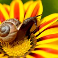 Immer nie Zeit für mich? - Seminar