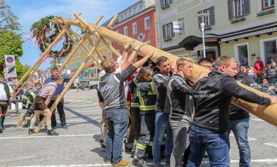 Maibaum in Kirchdorf aufgestellt