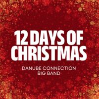 Festlicher Swing live in Mauthausen – Weihnachtskonzert der Danube Connection Big Band