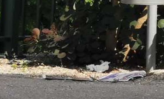 Auf frischer Tat erwischt