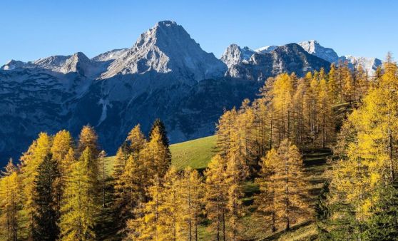 Unsere schöne Region: Leserfotos-Herbstedition