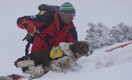 Lawinenhunde-Ausbildung am Feuerkogel