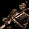 Drei Tage Jazz, Blues und Festivalflair in Diersbach