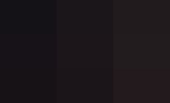 Grünau/Scharnstein : Der schöne Brauch des Barbara-Zweige Abschneidens wird auch im Almtal gepflegt .