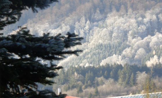 Almtal : Kurzer Wintergruß auch im Almtal.