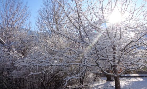 Grünau / Scharnstein : Kurzer Wintereinbruch im Almtal.