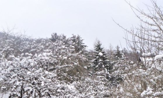 Almtal : Die kräftige Rückkehr des Winters am Osterdienstag.