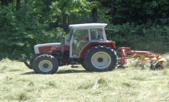 Almtal :Die Heuernte im Almtal  hat vor einer Woche begonnen.
