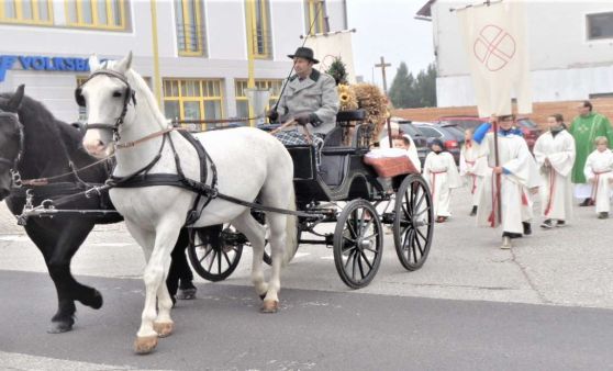 Scharnstein : Die Erntekrone wurde beim Festzug auf einer Pferdekutsche transportiert .
