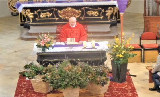 Grünau im Almtal : Palmweihe in der Pfarrkirche.