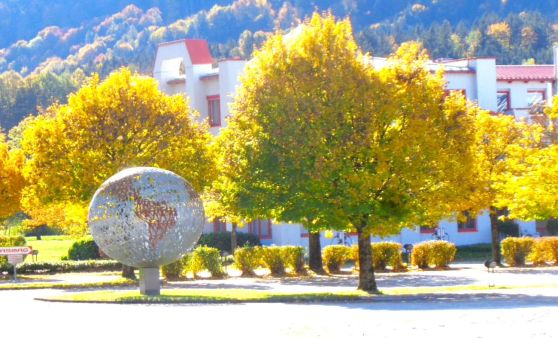 Grünau/ Scharnstein : An Schönwettertagen setzt sich auch im Almtal das genießen der Farbenpracht der Laubwälder fort.