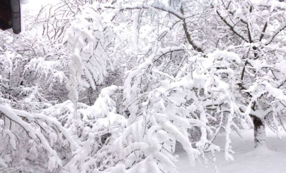Almtal : Viel Neuschnee in der Region Almtal - Große Lawinengefahr auf den Bergen im ganzen Land.