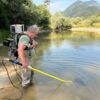 Fischrettung in Ausständen an der Traun in Bad Ischl