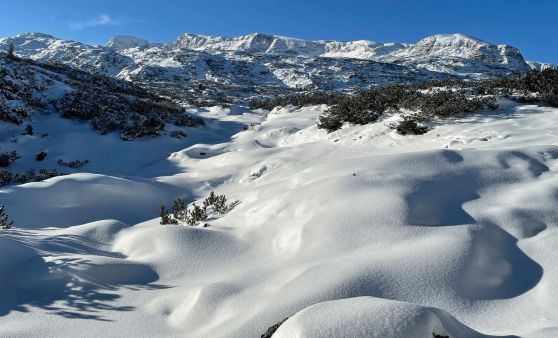 Skitour am Krippenstein