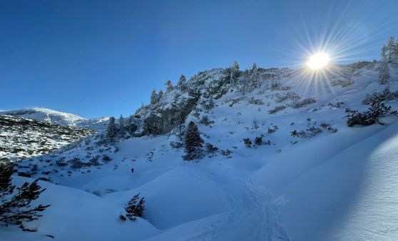 Eisige Tour auf den Zwölferkogel