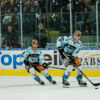 Black Wings ließen gegen Graz99ers nichts anbrennen