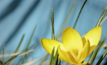 Tips-Leserfotos: Die schönsten Aufnahmen von 2025 aus dem Bezirk Urfahr-Umgebung