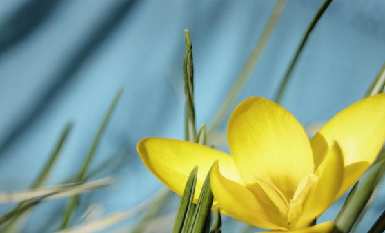 Tips-Leserfotos: Die schönsten Aufnahmen von 2025 aus dem Bezirk Urfahr-Umgebung