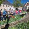 Markt startet in Zwettl in neue Saison mit frischem Salat und Bauernkrapfen