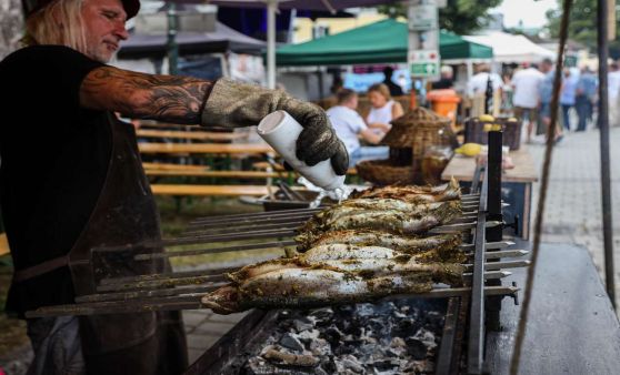 UFERN Donau-Strand-Fest