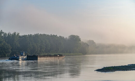 Morgenstimmung an der Donau