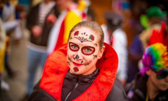 Faschingsumzug in Enns