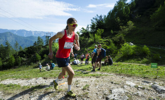 Starke Leistungen beim 29. Sparkasse Katrin-Berglauf