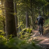 Verbot für E-Bikes im Wald geplant: Aufregung in Deutschland