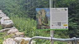 Neuer Themenweg bei der Ruine Scharnstein