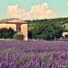 Urlaub in der Provence