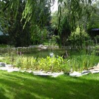 Badespaß in Naturpools und Schwimmteichen