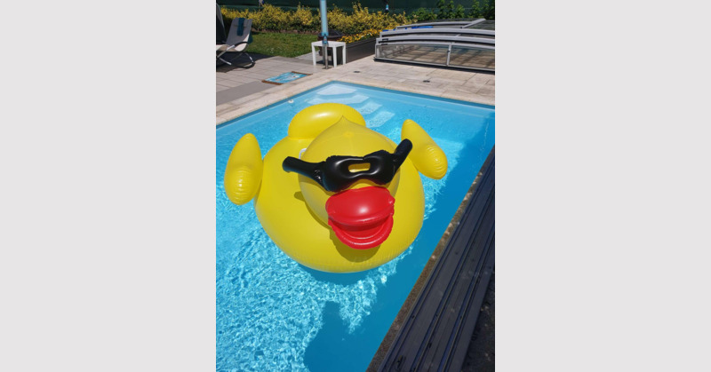 Piatnik Cool Am Pool – Das Spaßige Brettspiel Für 2-4 Spieler Ab 8 Jahren Um Den Besten Liegeplatz
